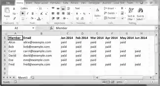 The spreadsheet for tracking member dues payments